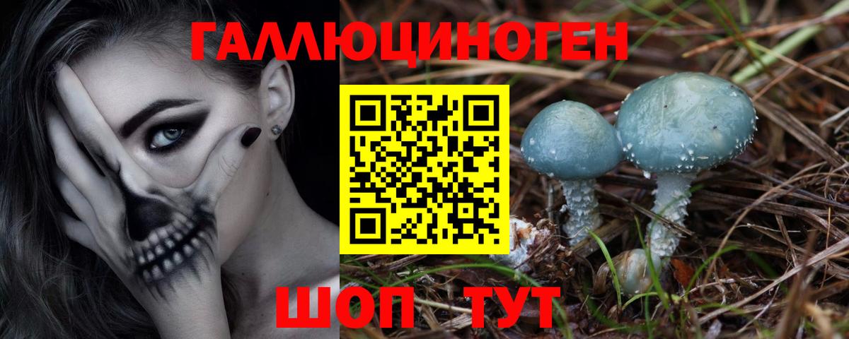 Минеральные Воды  Псилоцибиновые грибы Psilocybine cubensis  сколько стоит  Вход с VPN 